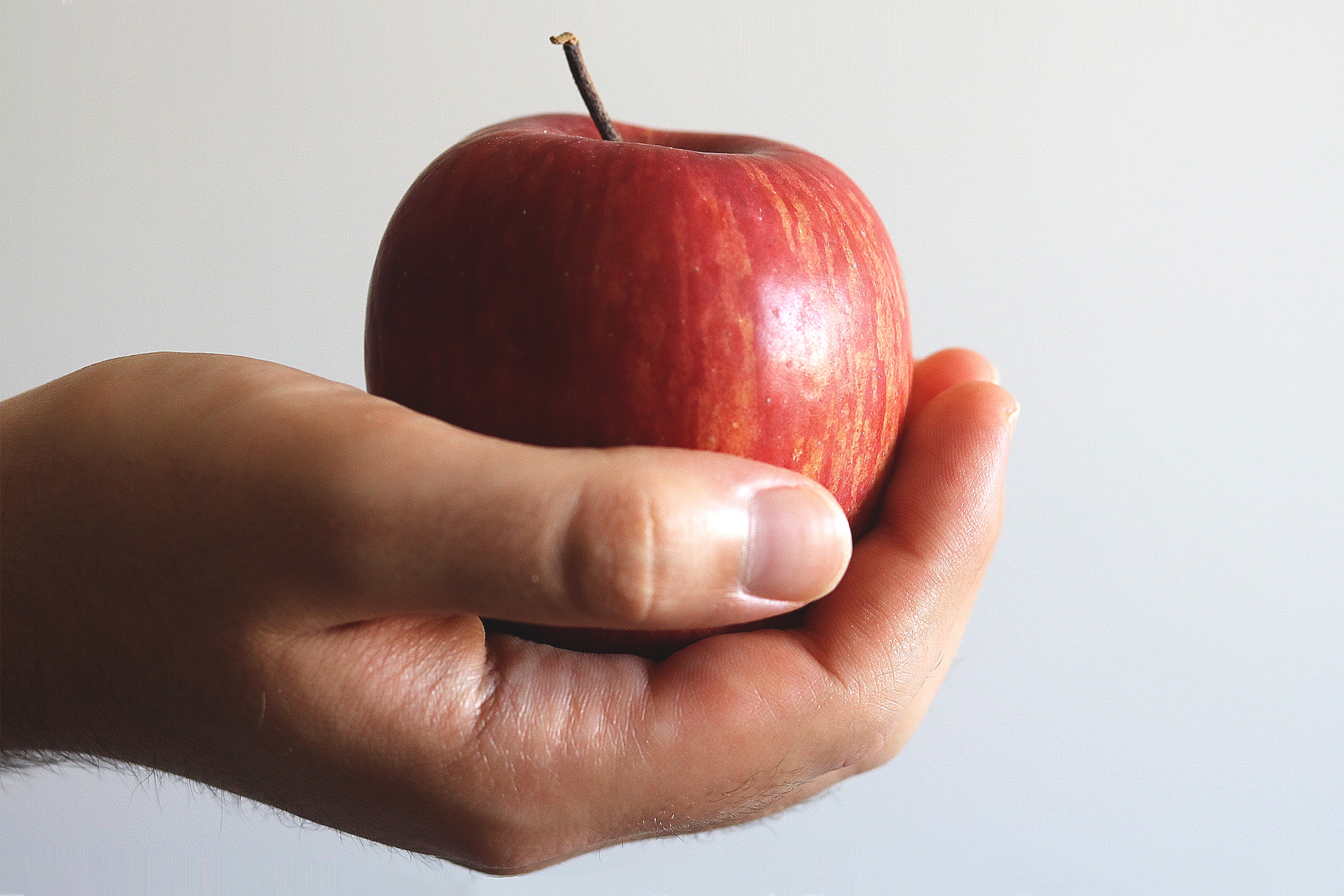 apple on counter